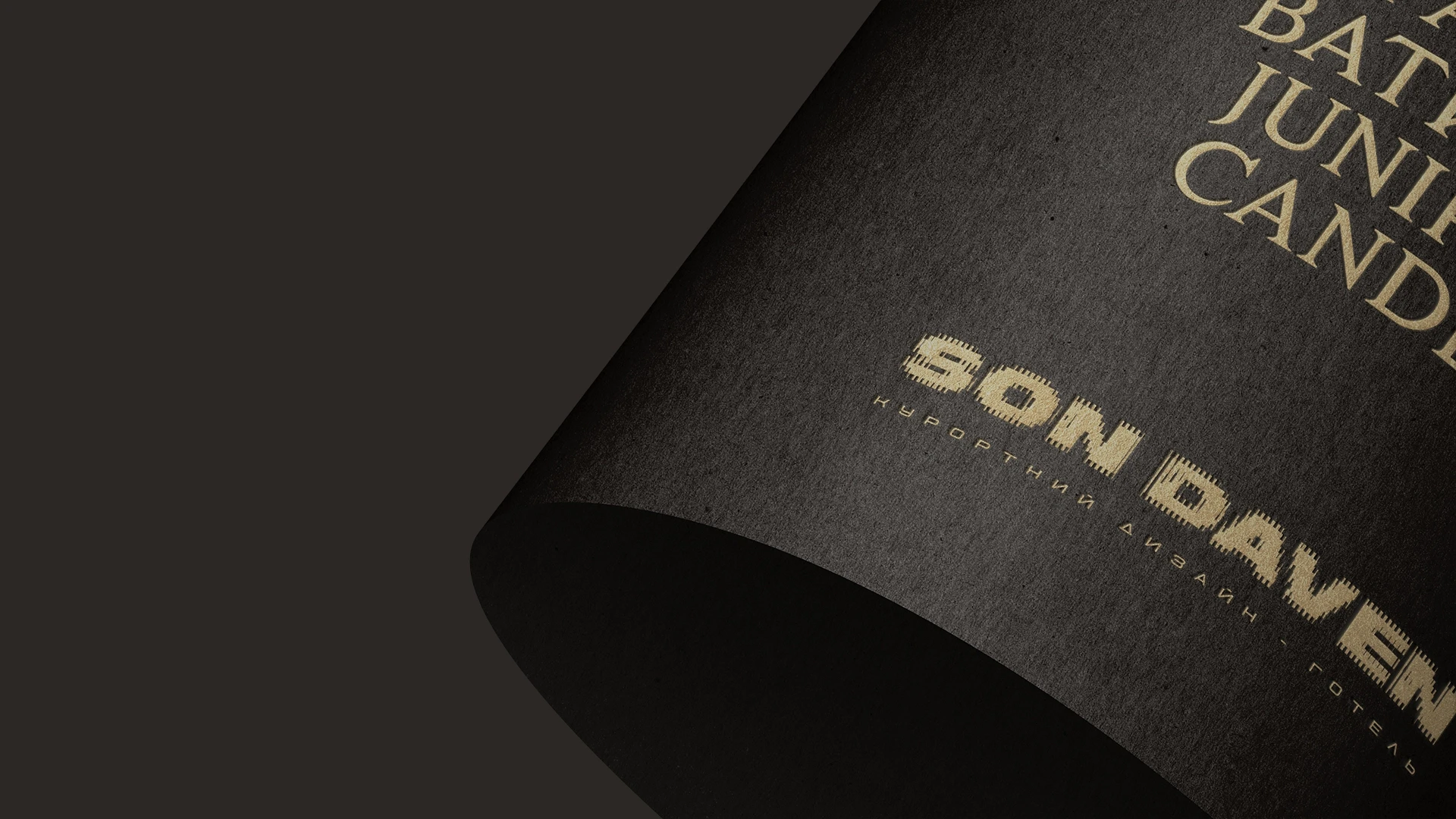 undefined, фото 2300